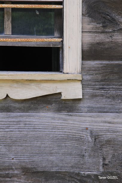 老房子图片下载