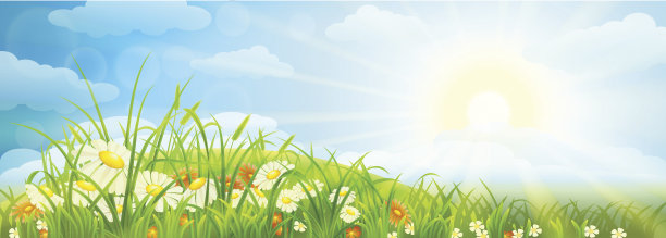 夏天的背景图片下载