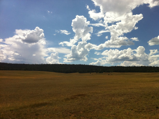 草地上的云图片下载
