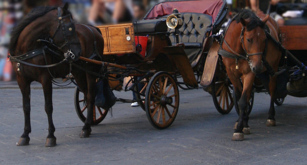 马车马图片下载