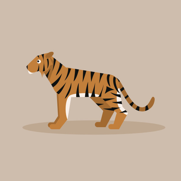 老虎。平面向量插图图片下载