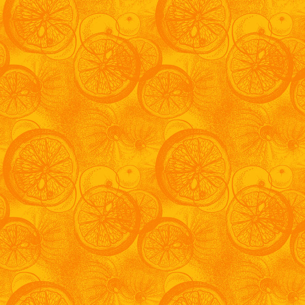 手绘的橘子或柠檬柑橘类水果。图片下载