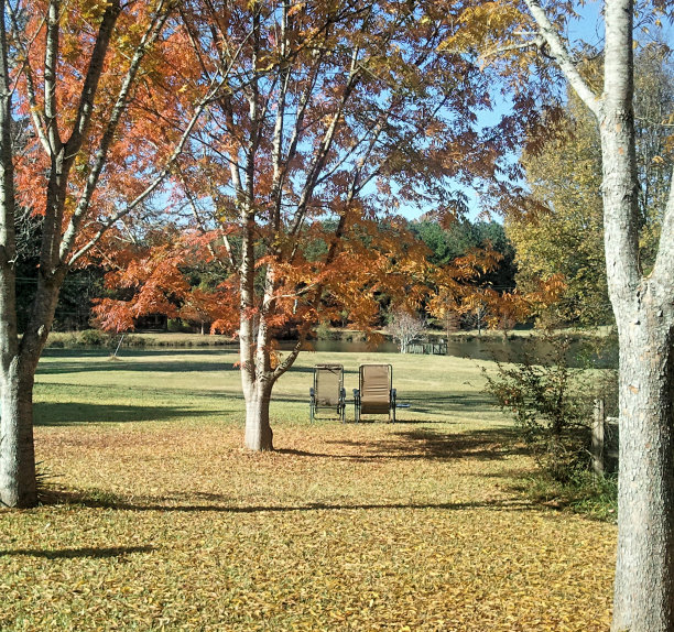 秋季湖视图图片下载