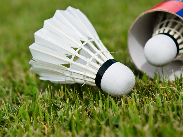 的羽毛球图片下载