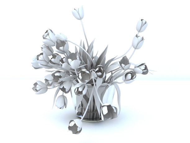 单色郁金香孤立在白色背景上图片下载