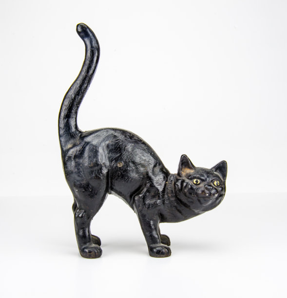 《黑猫对白猫》图片下载