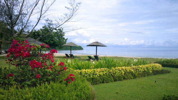 婆罗洲海滩图片下载