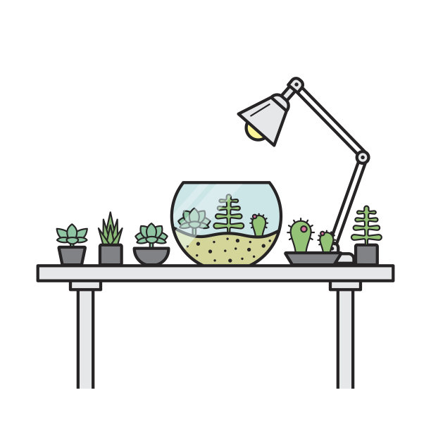 家里的花园放在桌子上，上面放着玻璃盆景图片下载