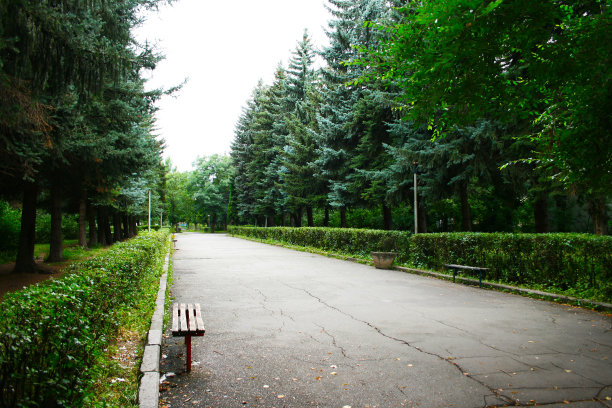 公园小径图片下载