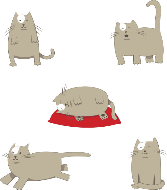 有趣的风格卡通灰色猫在不同的姿势素材图片
