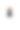 小芭蕾舞演员跳舞图片下载