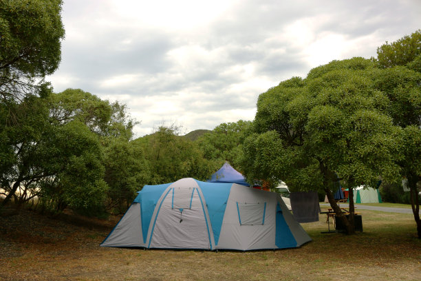 在森林里露营图片下载