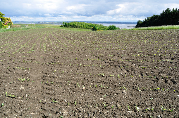 刚播种的土地图片下载