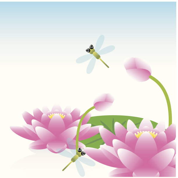荷花和蜻蜓图片下载