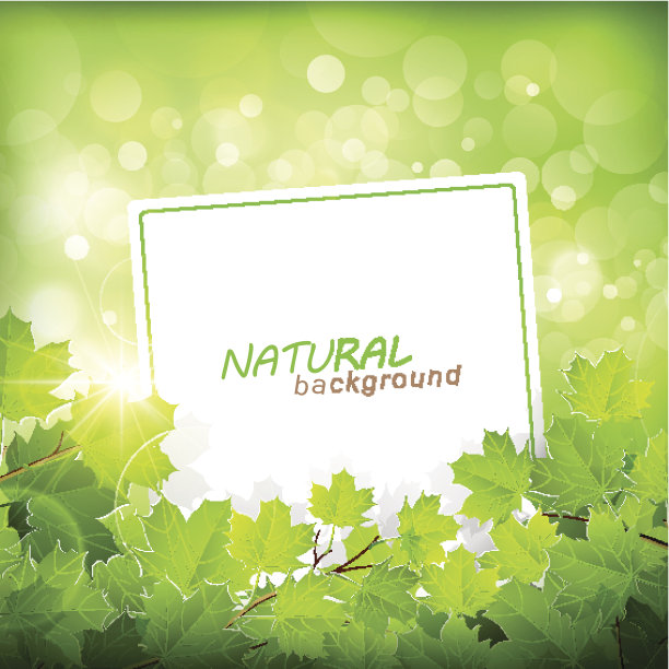 天然的绿色背景图片下载