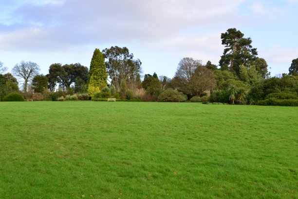 冬天的花园,图片下载