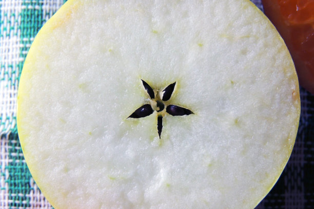 白色背景上的苹果图片下载