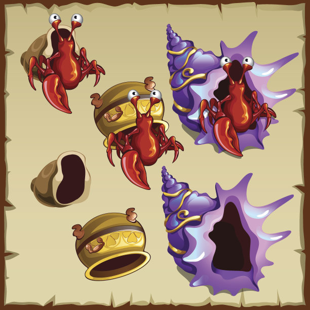 收藏红蟹、紫壳、紫锅等图案图片下载