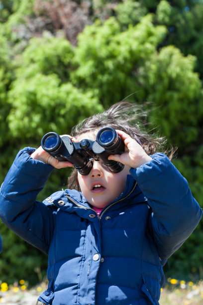 年轻的观鸟图片下载