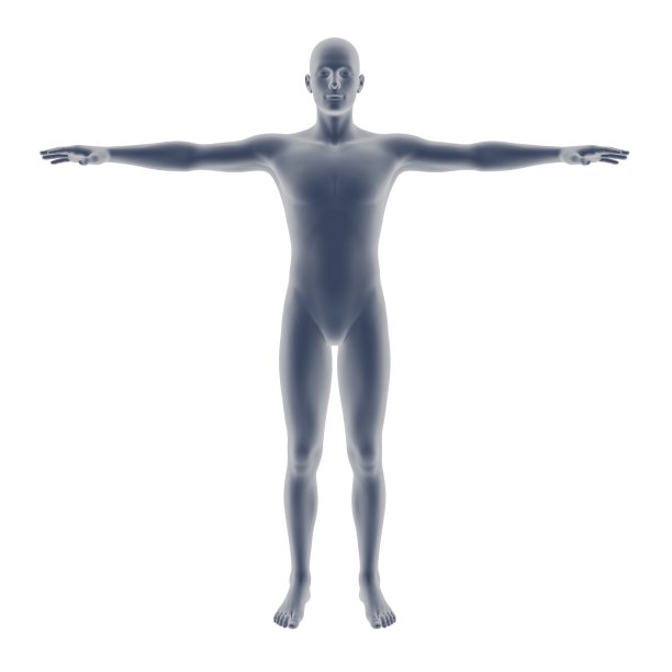 男性身体图片下载