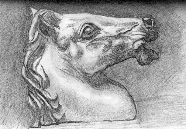 插图画马图片下载