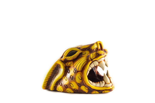 美洲虎的头，张着大嘴巴，长着大牙齿图片下载