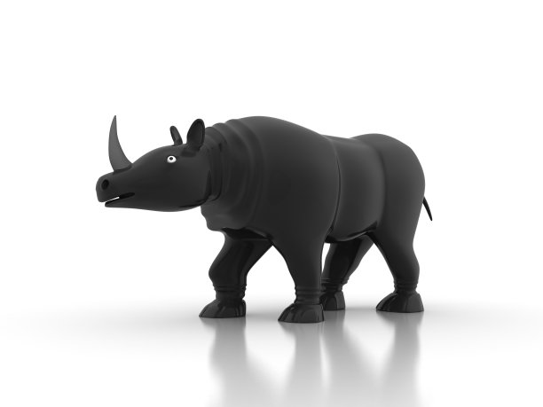 白色背景下的大象特写镜头图片下载