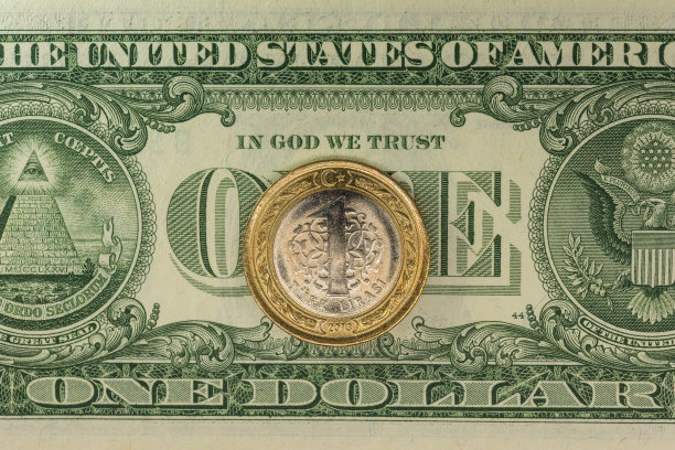 美元和土耳其里拉图片下载