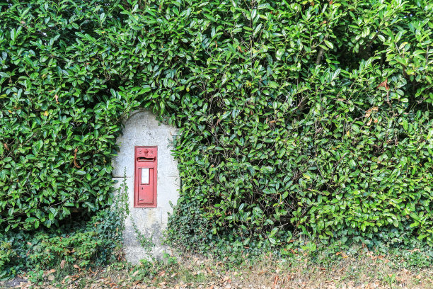 英国乡村的红色邮筒在树篱中图片下载