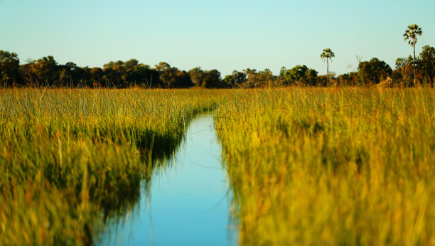 河马的高速公路图片下载