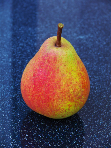 黄色的梨。图片下载