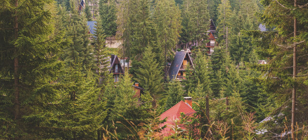 树林里的房子和小木屋图片下载