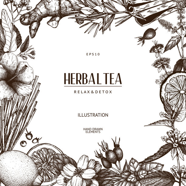 带有草药茶素描收藏的复古卡片设计图片下载