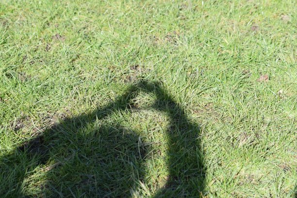 影子用手形成一颗心图片下载