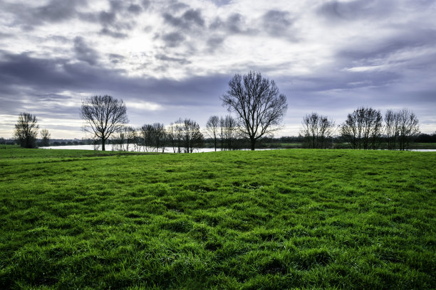 草地和河流图片下载