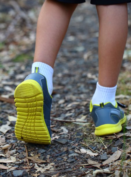 丛林徒步旅行图片下载