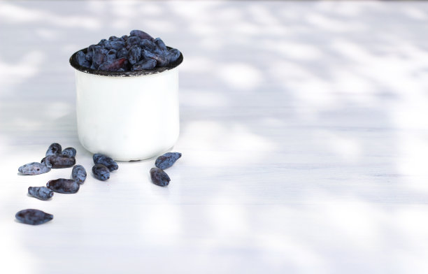 杯中金银花浆果图片下载