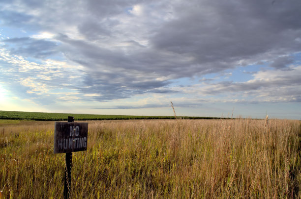 不打猎图片下载