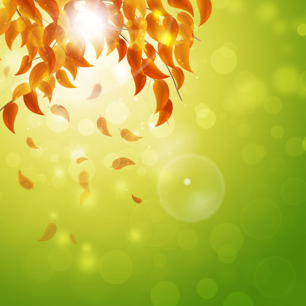 秋季自然背景图片下载