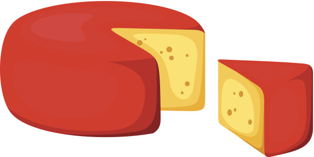 奶酪轮。矢量插图。图片下载