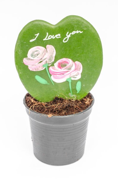 白色背景上的心形树图片下载