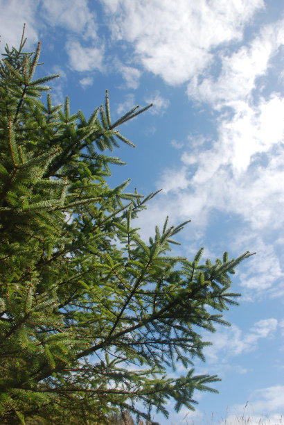 头顶的天空图片下载