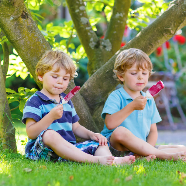 两个快乐的小朋友在吃自制的棒棒冰淇淋图片下载