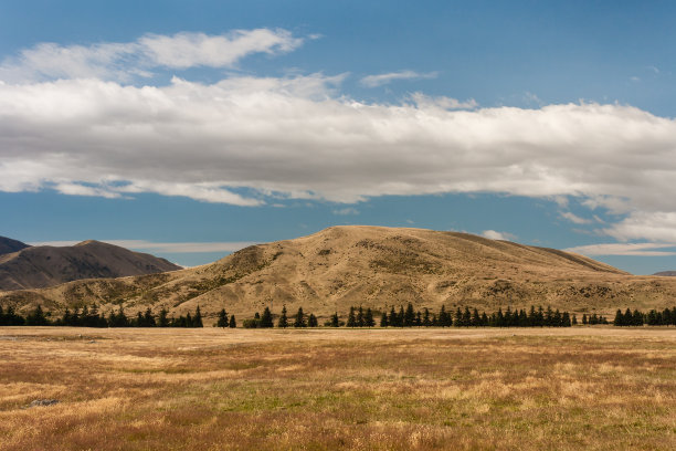 新西兰坎特伯雷的草原图片下载