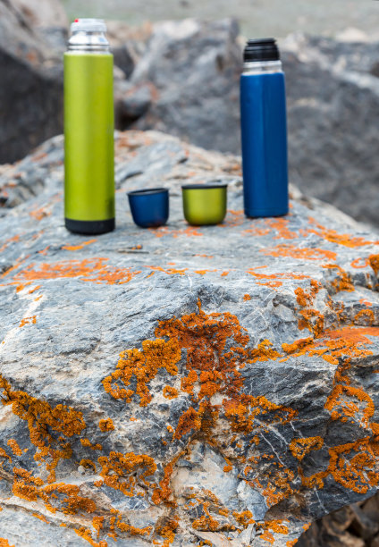 石头的纹理与橙色苔藓图片下载