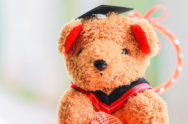 毕业的泰迪熊图片下载