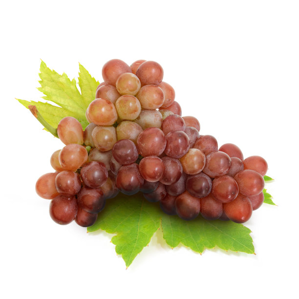 红色的葡萄，叶子孤立在白色的背景上图片下载