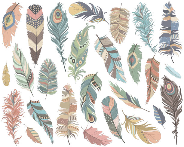 部落羽毛矢量集图片下载