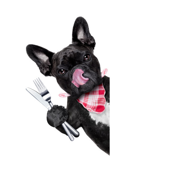 饥饿的狗图片下载