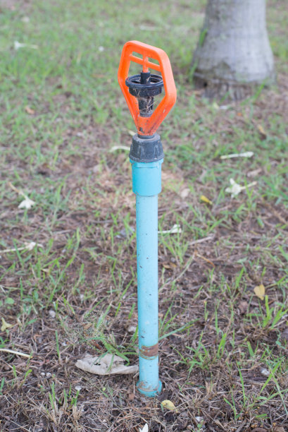 洒在花园里图片下载